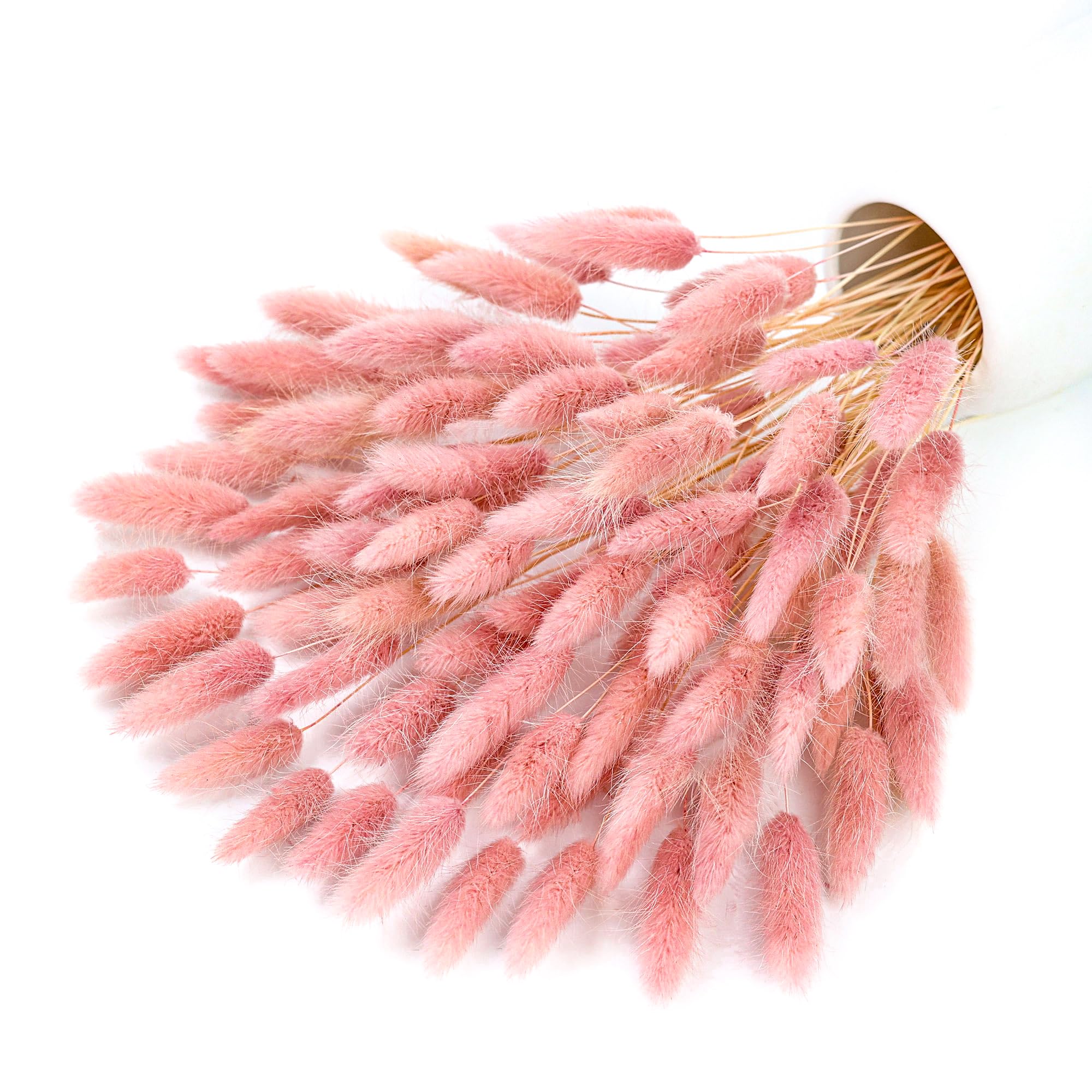 120本のピンクの乾燥パンパスグラス、バニーテールグラスの装 - Pampas Grass Decor のレビューと価格