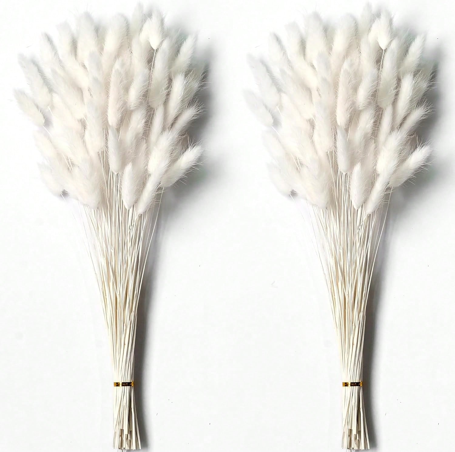 120個入り パンパスグラス ドライフラワー デコレーション - Pampas Grass Decor のレビューと価格