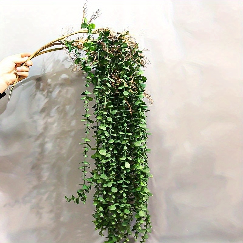 偽のユーカリの籐の植物、プラスチックのつる、木の枝、壁に掛け - Rattan Plant Basket のレビューと価格